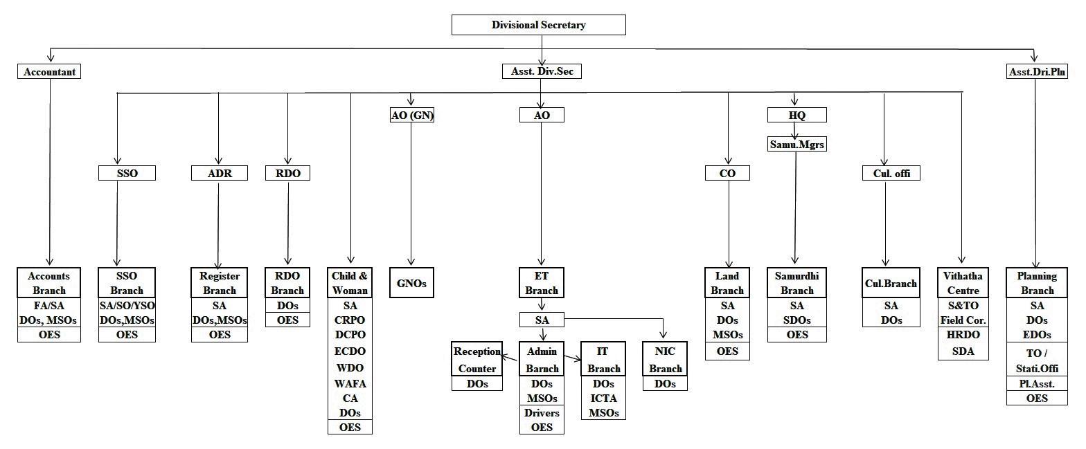 DSMP Org.Chart 22.06.2020